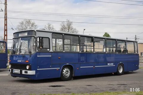 263 10 49