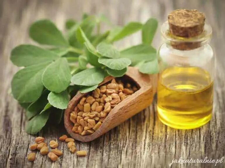 Пажитник маска. Сыр с семенами фенугрек. Fenugreek seed oil. Хельба семена. Семена пажитника.