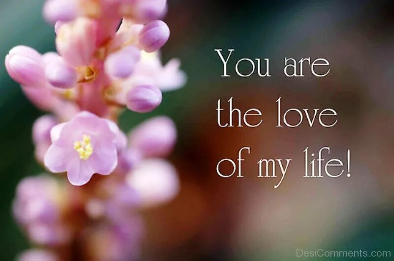 You of my. The Love of my Life. You are the Love of my Life. You my Life картинки. You are my Life картинки.