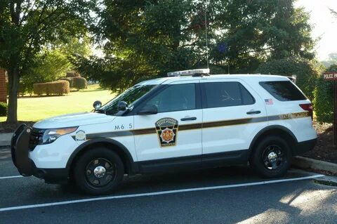 Police state