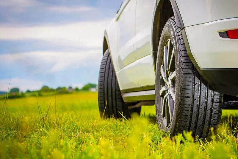 Легковые резина лето. Nokian Tyres летние. Нокиан Турес лето. Шины Кордиант летние баннер. Колесо автомобиля.