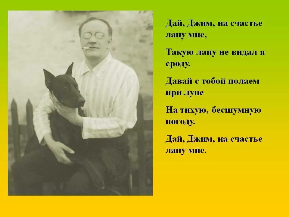 Стихотворение есенина собаке качалова. Сергей есенин собаке качалова. сергей есенин — собаке качалова (дай, джим, на счастье лапу мне). есенин про собаку джим. джим собака качалова.