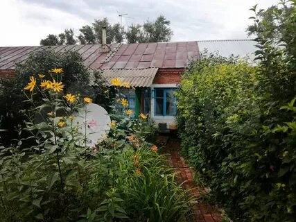 Авито татарская область