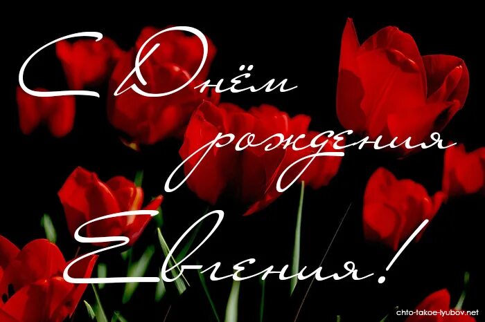 Поздравление с днем рождения евгении в картинках. Цветы для евгении. Интересные открытки с днем рождения. С днём рождения нвгегия. Поздравление с днем рождения евгении в картинках.