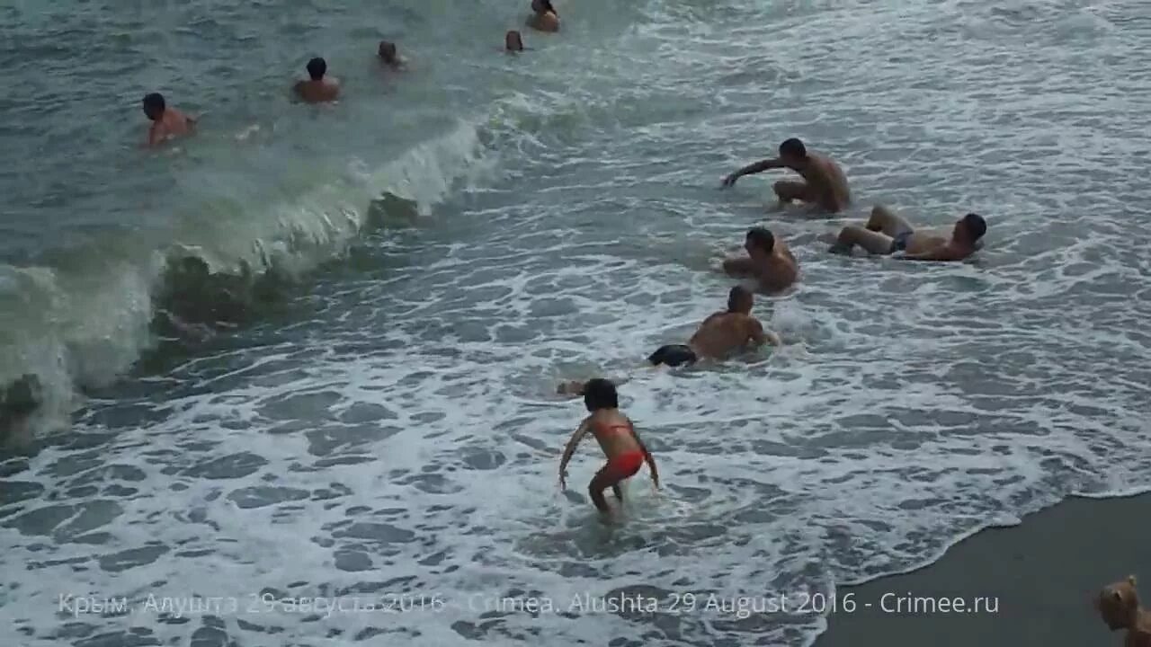 Температура воды в черном в алуште. Шторм в Алуште 17 февраля 2016 года. Шторм в Алуште сейчас видео. Море в Алуште сегодня штормит или нет.