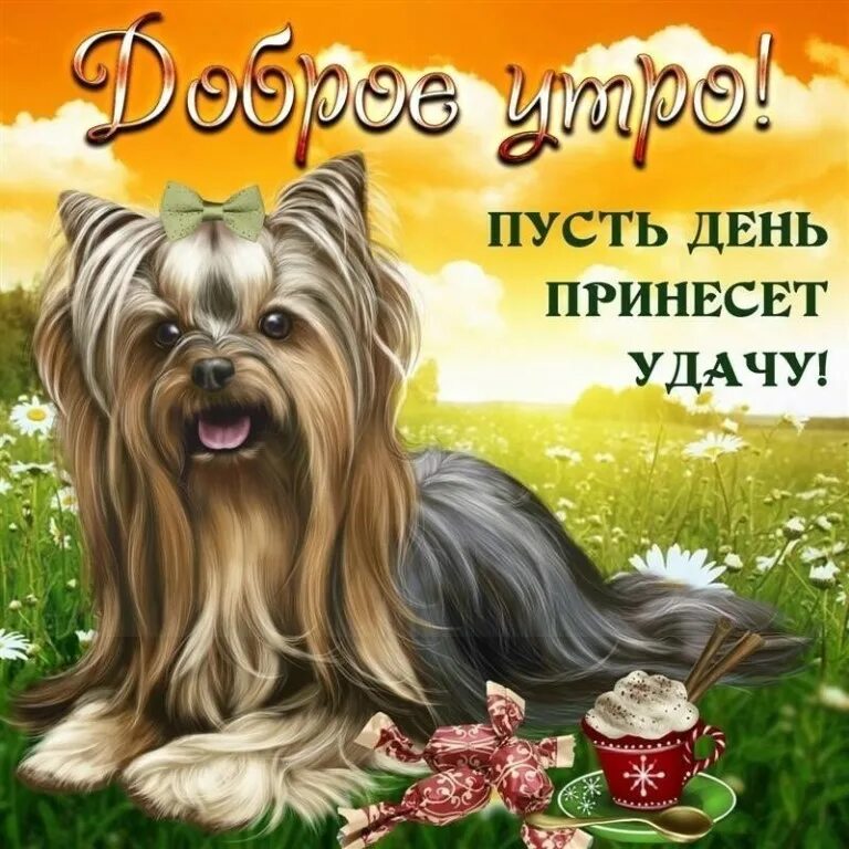 Доброго дня красивые картинки с животными
