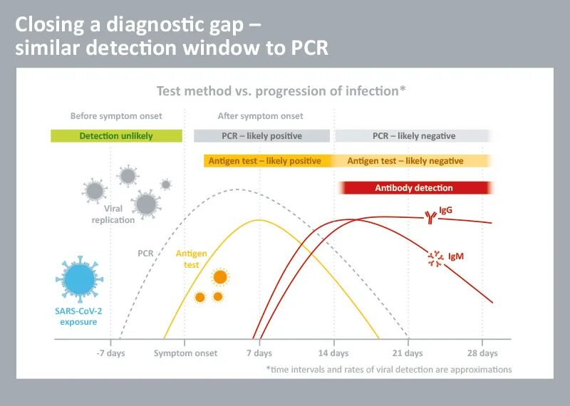 Антиген тесты covid 19. Covid antigen Test Результаты. SARS-cov-2 antigen Test Результаты. Self PCR Test. Результаты тест на антиген Covid-19.