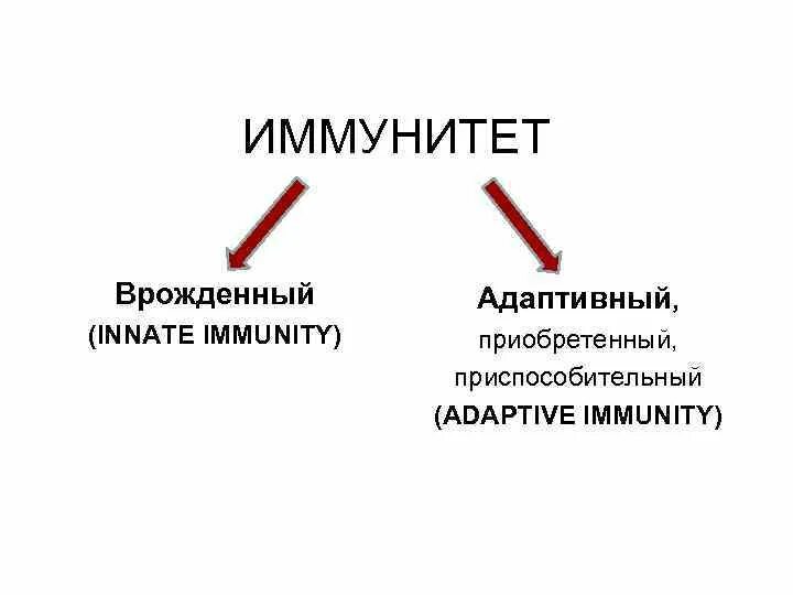 Врожденный и приобретенный иммунитет иммунология. Иммунитет. Врожденный иммунитет, приобретенный иммунитет.. Отличия врожденного и приобретенного иммунитета. Врожденный иммунитет классификация.