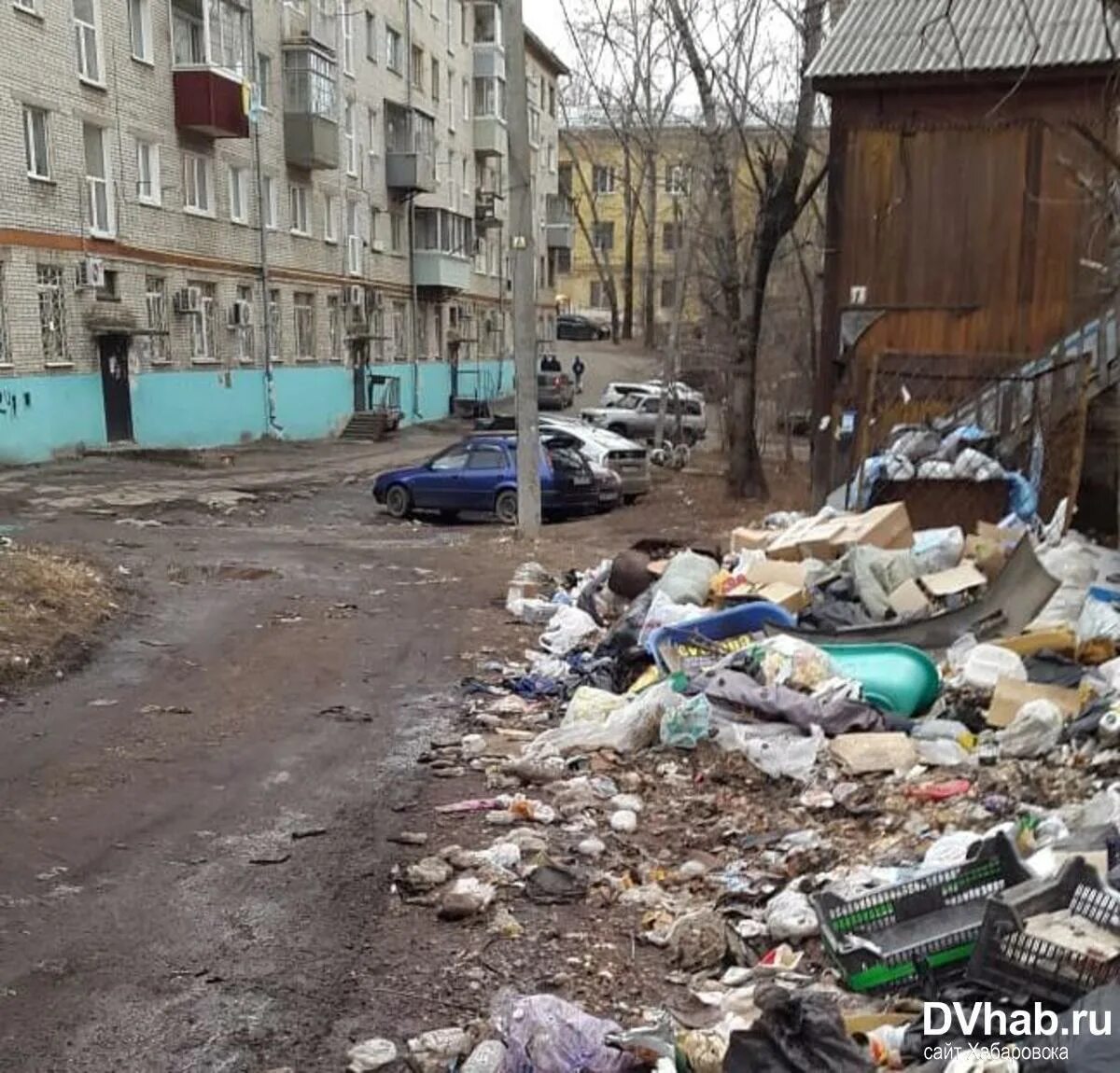 Мусорные баки воронеж. Тёмная вонючая свалка. Воняет помойкой. Цветы которые растут на мусорке. Вонючая мусорка тп.