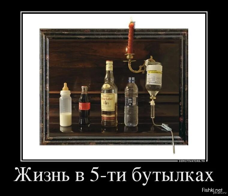 Жизнь бутылок. Вся жизнь в пяти бутылках. жизненные приколы. демотиватор дня. приколы про жизнь.