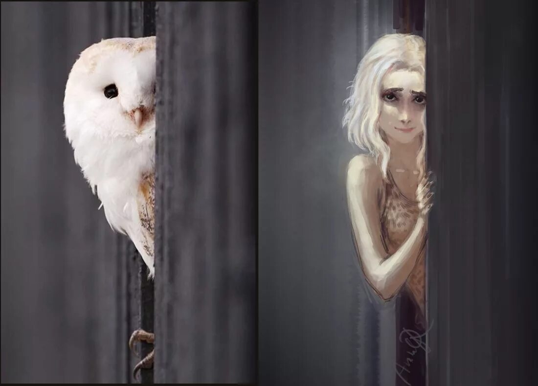 By owl secret video uff retro edit
