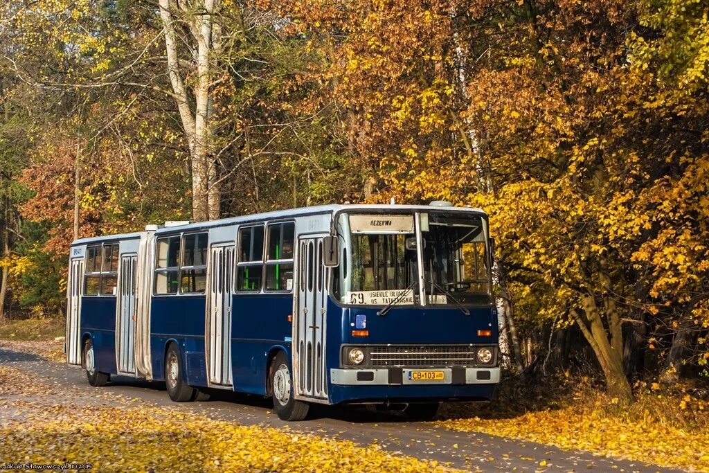 Икарус 280. Автобус Ikarus 280. ЛИАЗ-гармошка.Икарус-280-. Икарус 280 гармошка. Икарус это