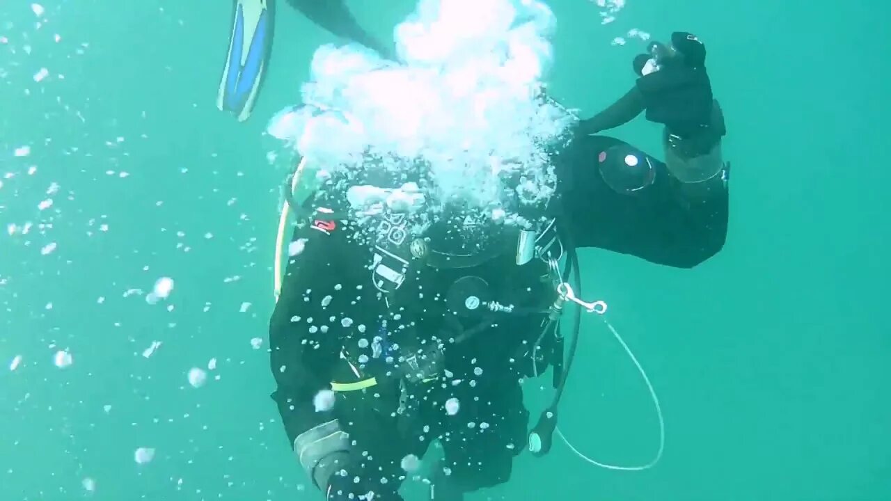 Life is diving. Персидский залив дайвинг. Дайвинг в Крыму. Драка под водой. Дайвинг драка под водой.