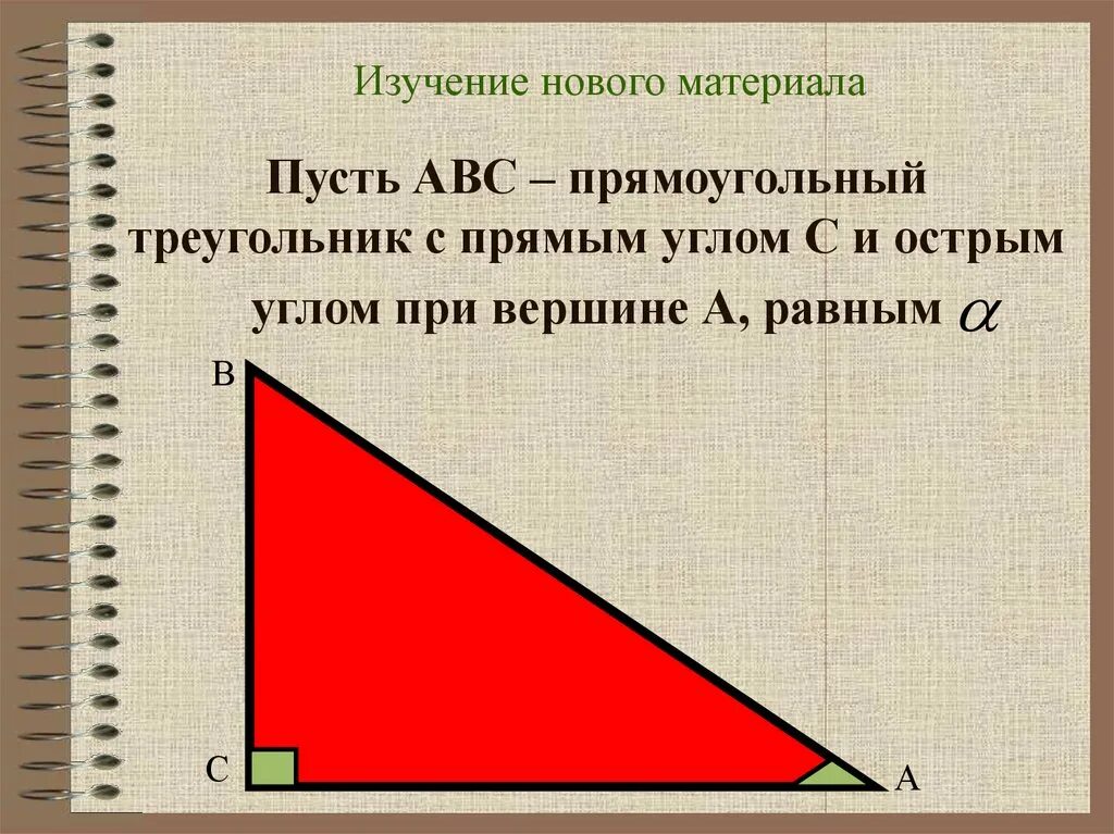 В одном прямоугольном треугольнике острый. В одном прямоугольном треугольнике острый