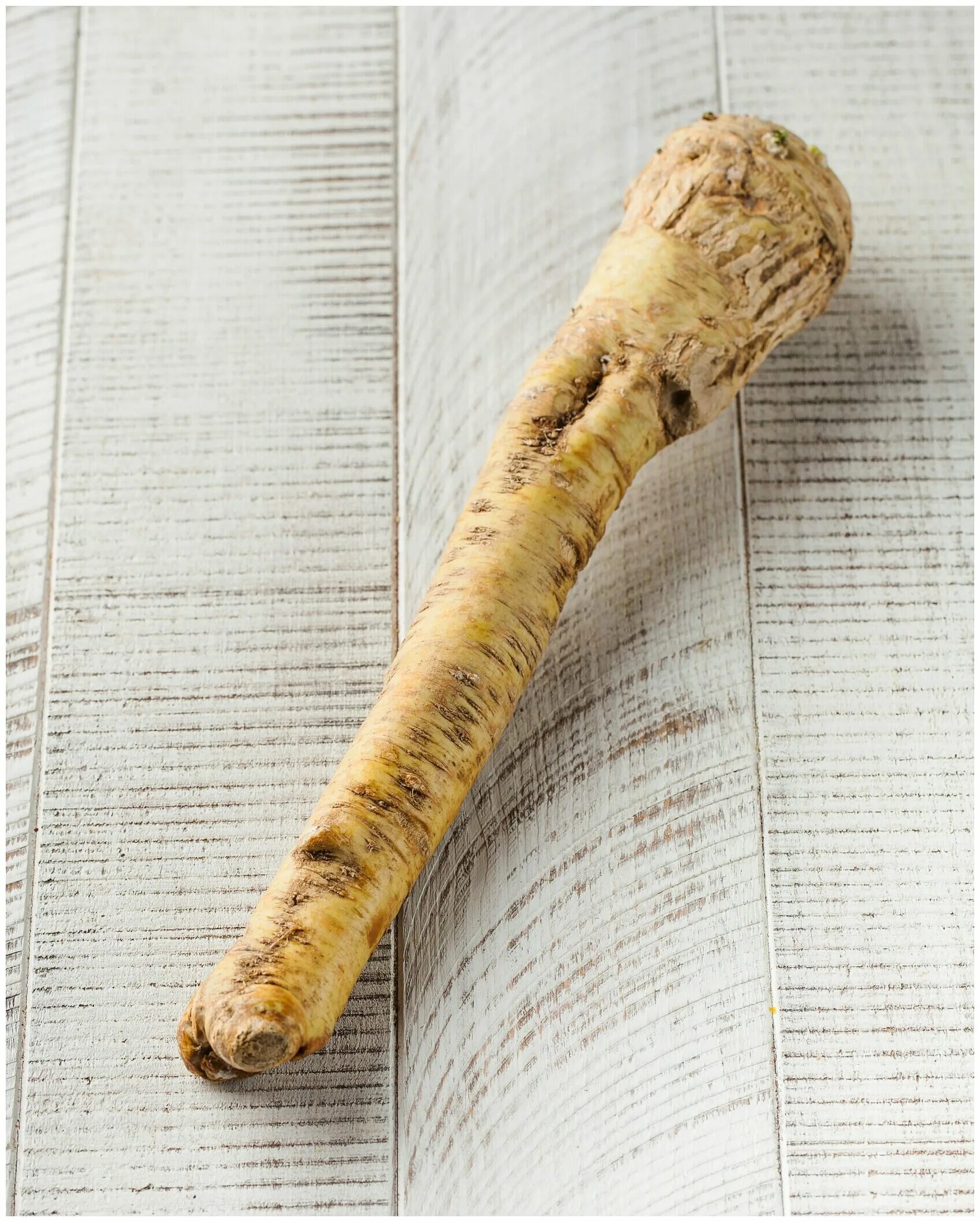 Хрен овощ. Корень хрена. Хрен овощ. Корень хрена. Хрен свежий.