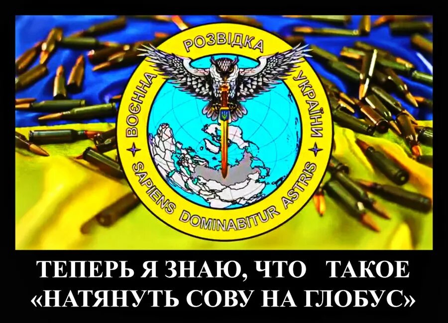 Военная разведка Украины эмблема. Символ украинской разведки. Логотип украинской разведки. Сова Украина разведка.