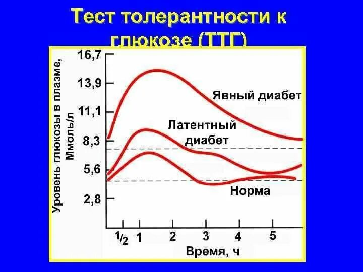 Сахарная кривая показатели нормы после Глюкозы. Сахарная кривая толерантности Глюкозы. Тест толерантности к глюкозе при сахарном диабете. Тест на толерантность к глюкозе кривая. Глюкоза тест зачем