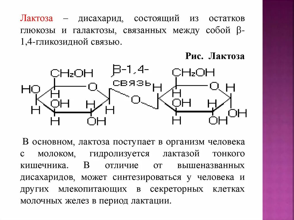 Лактаза синтезируется клетками:. Лактоза и лактаза в чем разница. Лактоза состоит из остатков. Дисахарид лактозы Тип гликозидной связи.