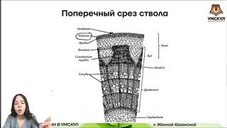 День ботаника