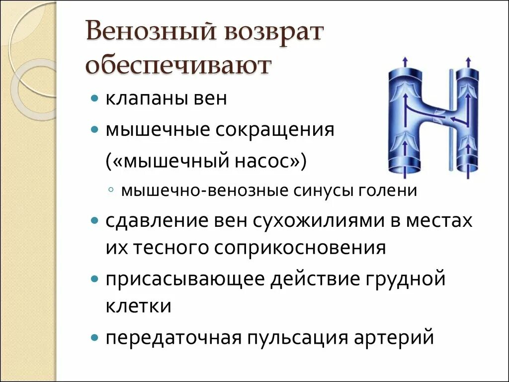 Факторы обеспечивающие венозный возврат крови к сердцу. Механизмы обеспечивающие венозный возврат крови к сердцу. Факторы венозного возврата крови. Механизмы венозного возврата крови. Возвращают кровь к сердцу