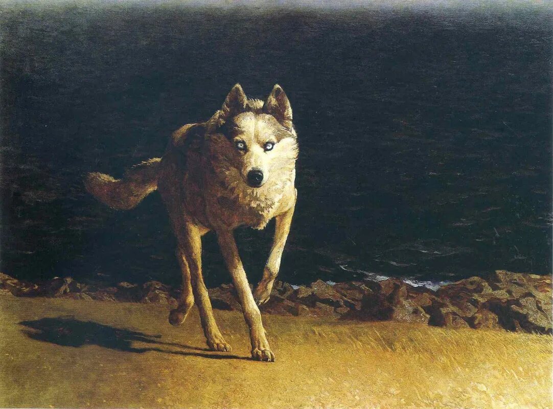 Волк и собака толстой. Джейми Уайт художник. James Browning Wyeth. Уайет волк. Эндрю Уайет картины.
