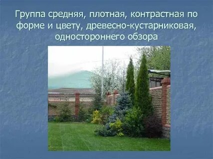 Нейтральной группы