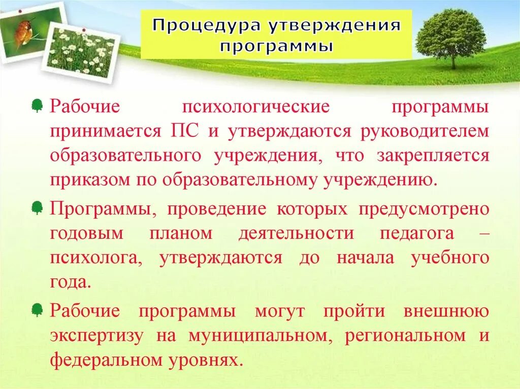 Психологическая программа в школе. Рабочая программа психолога. Рабочая программа психолога в ДОУ. Рабочая программа психолога в школе. Утвержденная программа психолога.