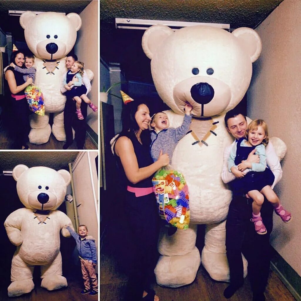 Стикер медвежонок. Милый медведь мем. Аватарка медведь. Медведь и панда аниматоры. Медведь коричневый.