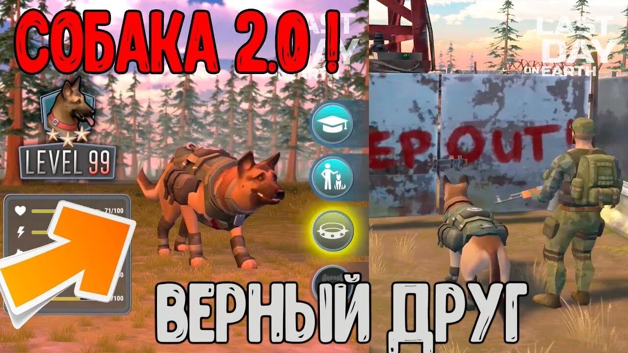 Верный друг ласт дей. Last Day собаки. Собака из ласт дей. Игру last Day on Earth собаки. Ласт дей собака