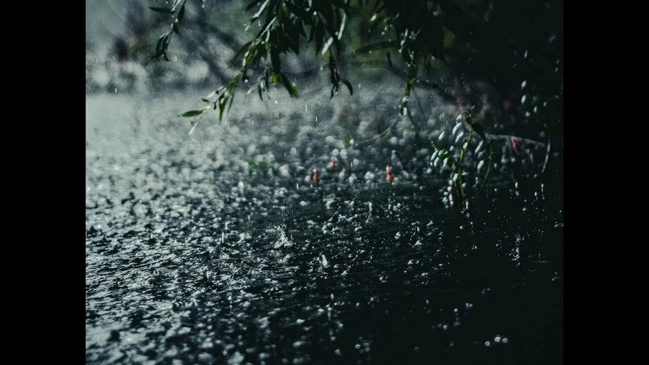 Звон дождя. Звуки природы шум дождя. Шум дождя в лесу. Дождь для успокоения. Звуки дождя летом.