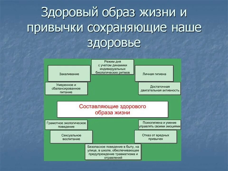 Тест основа здорового образа жизни. Основы здорового образа жизни. Составляющие здорового образа жизни. Теоретические основы здорового образа жизни. Основные составляющие здорового образа жизни.