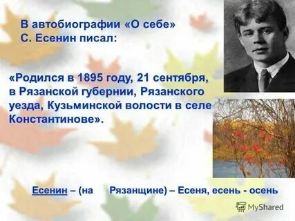 Камеры есенина 6