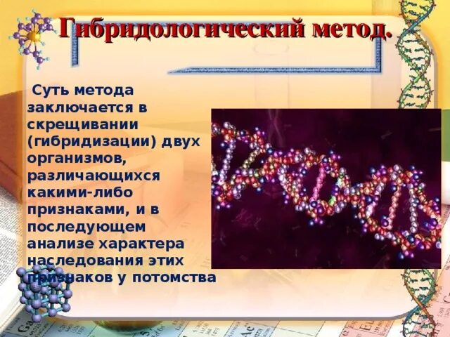 Гибридологический метод. Методы генетики гибридологический метод. Гибридологический метод изучения наследственности. Гибридологический метод исследования в генетике.