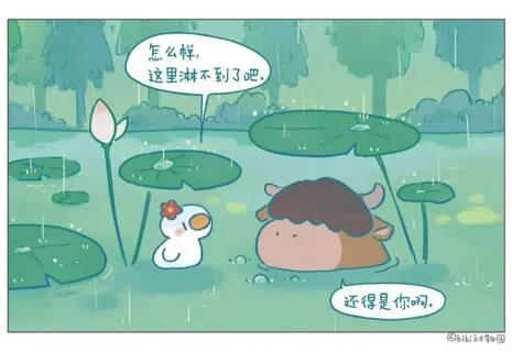 Too rain