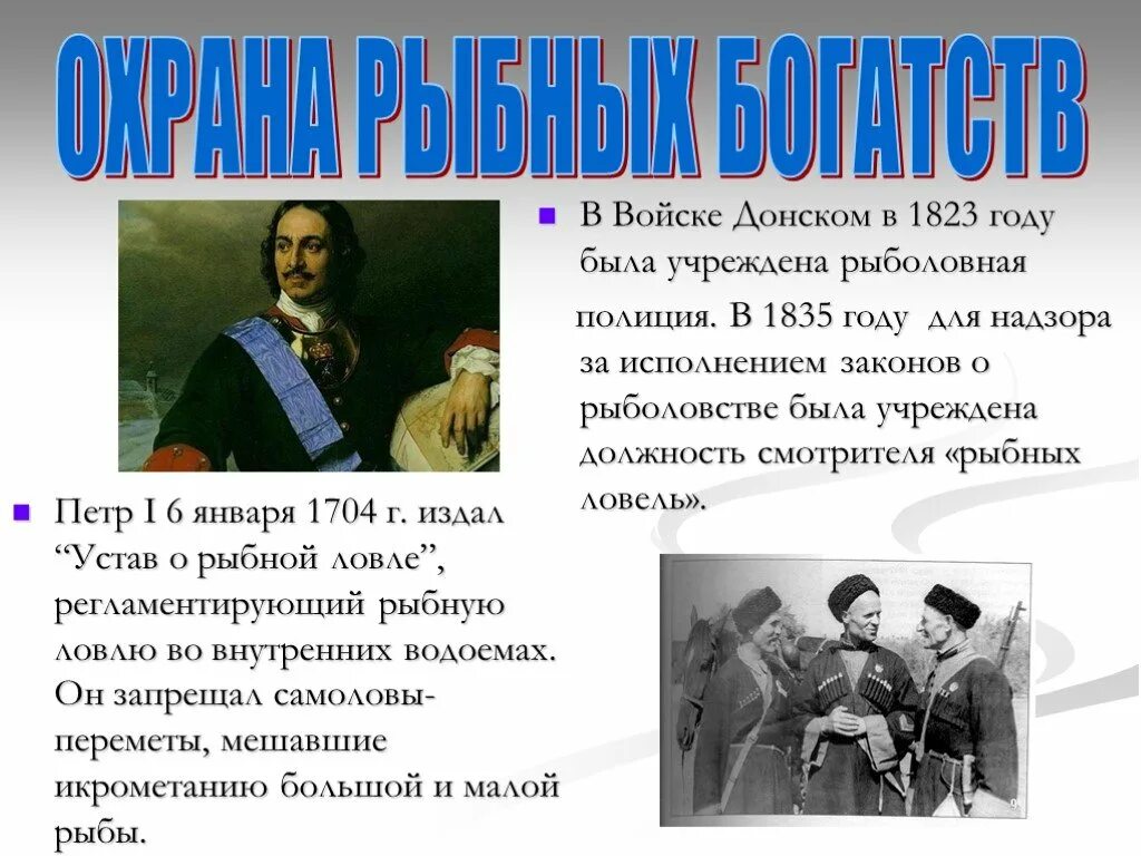 Должность генерал прокурора при петре 1. История органов внутренних дел россии презентации. Большой королевский совет. История развития прокуратуры. Каковы причины переселения в южно уссурийский край.
