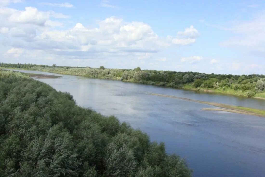 Вода в реке сура. Река Сура Пенза. Река Сура в Пензенской области. Река Сура Ульяновская область. Река Сура Нижегородская область.