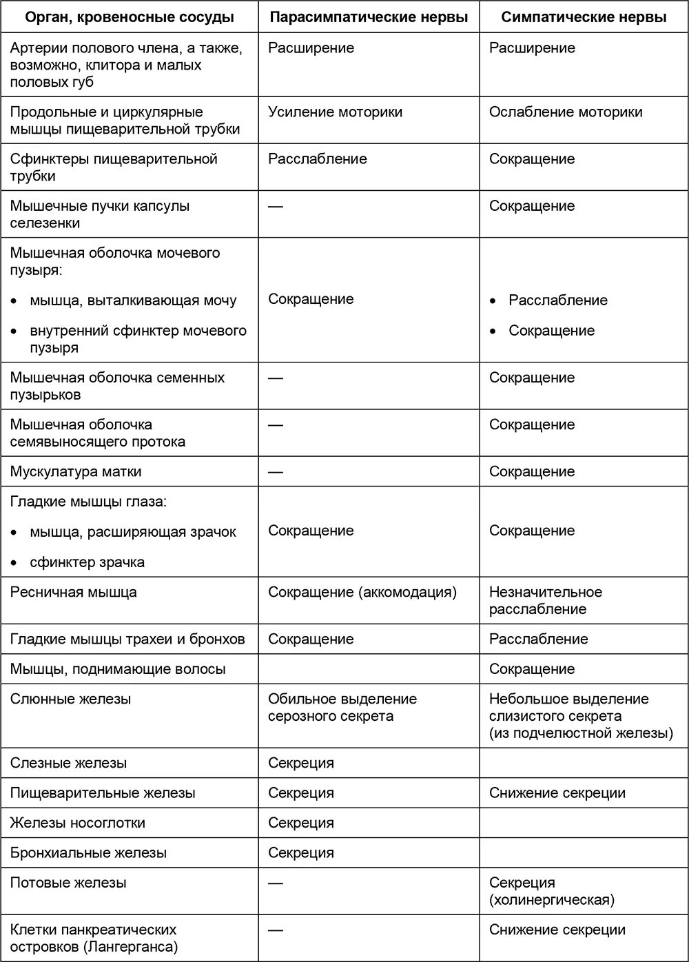 Расположение парасимпатической нервной системы Парасимпатическая нервная система