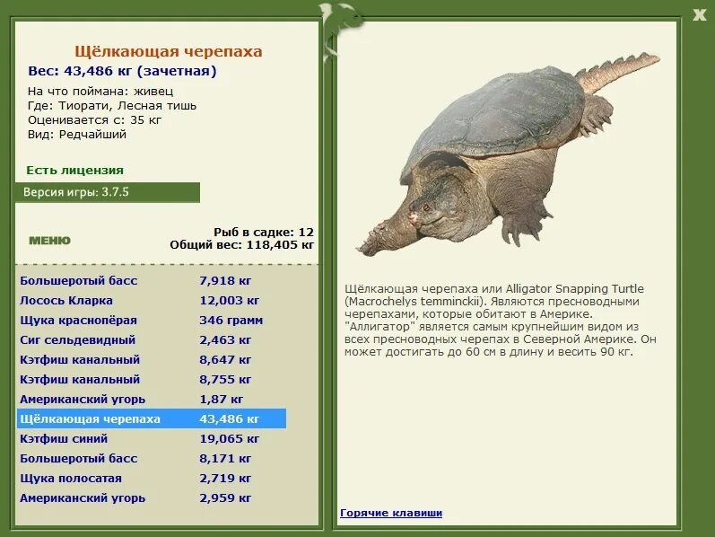 русская рыбалка 3 деревенские просторы лягушка озерная. на что клюет черепаха. где ловить черепах. черепаха деревенские просторы. русская рыбалка 3.