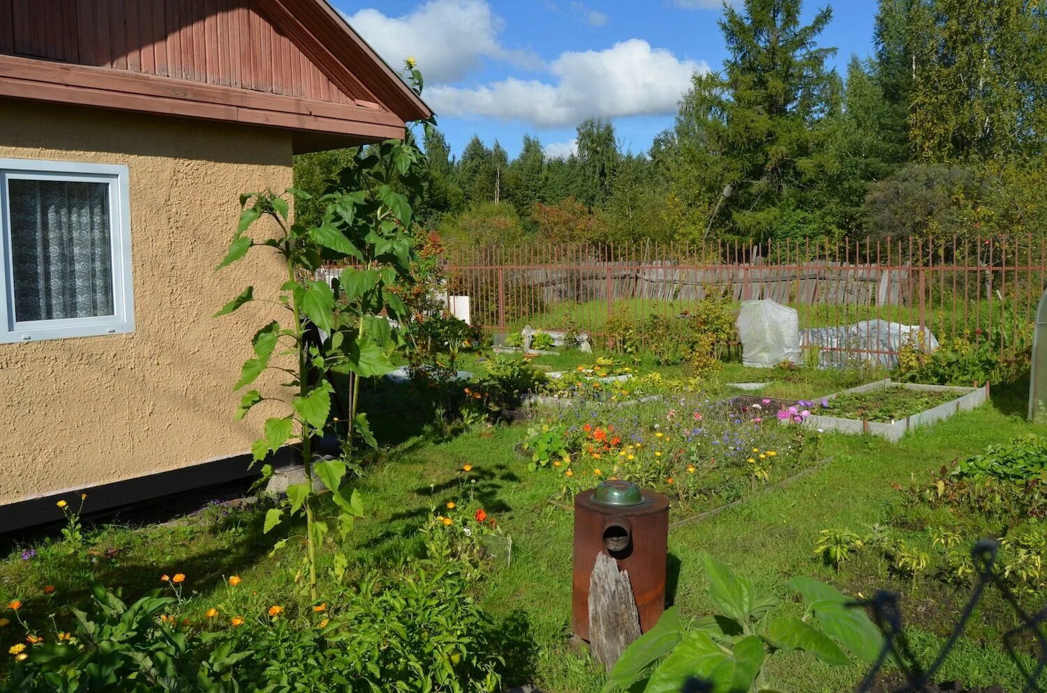 59110 шитова дача. Советский сад дача. Октябрьская. Любимая дача сад и огород. Советская дача.