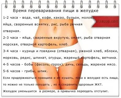Через какое время переваривается