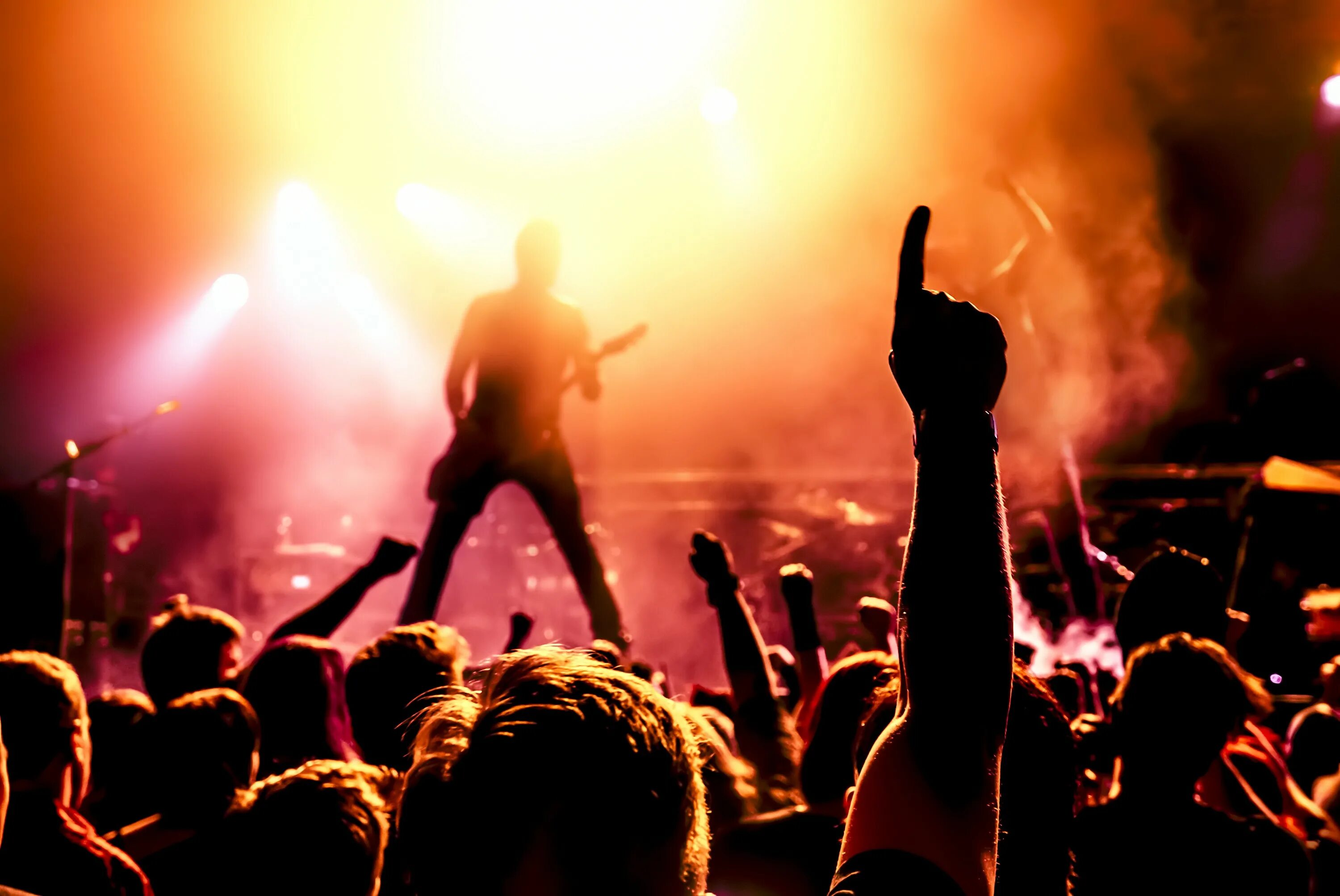 I enjoyed the concert