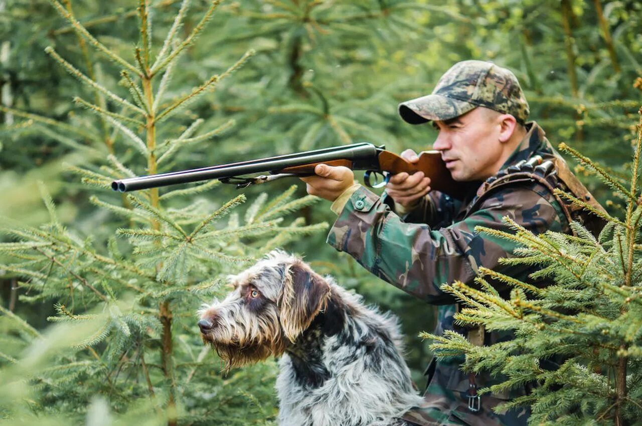 Get hunt
