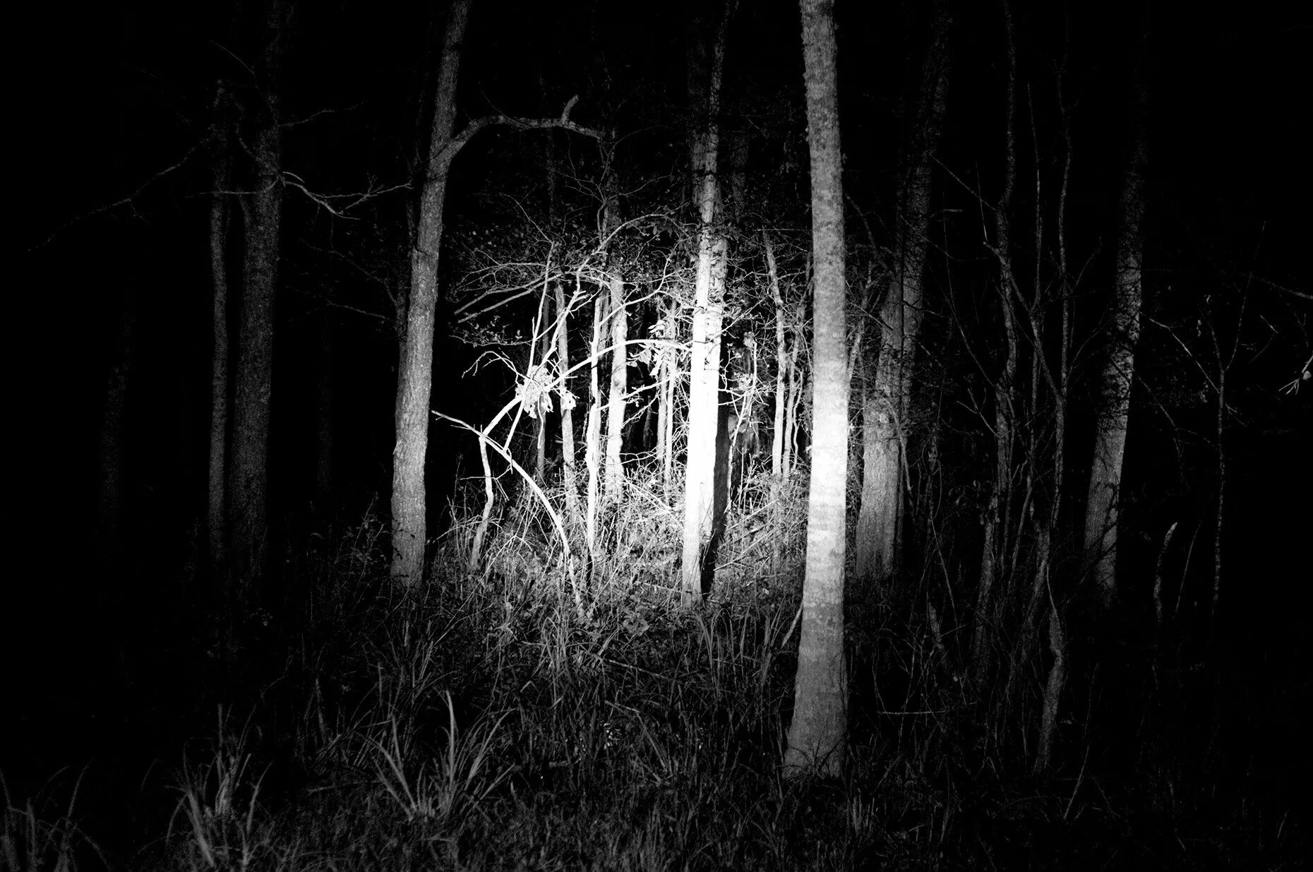 Scary night horror