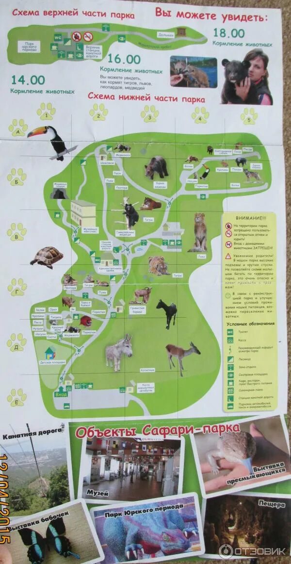 Схема сафари парка в геленджике. Схема сафари. Сафари парк геленджик план парка. Сафари-парк геленджик карта парка. Схема сафари.