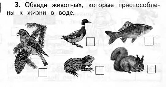 Задания окружающий природный мир 2 класс. Окружающий природный мир 1 класс. Окружающий соц мир задания. Окружающий природный мир 2 класс вариант 2 надомное обучение.