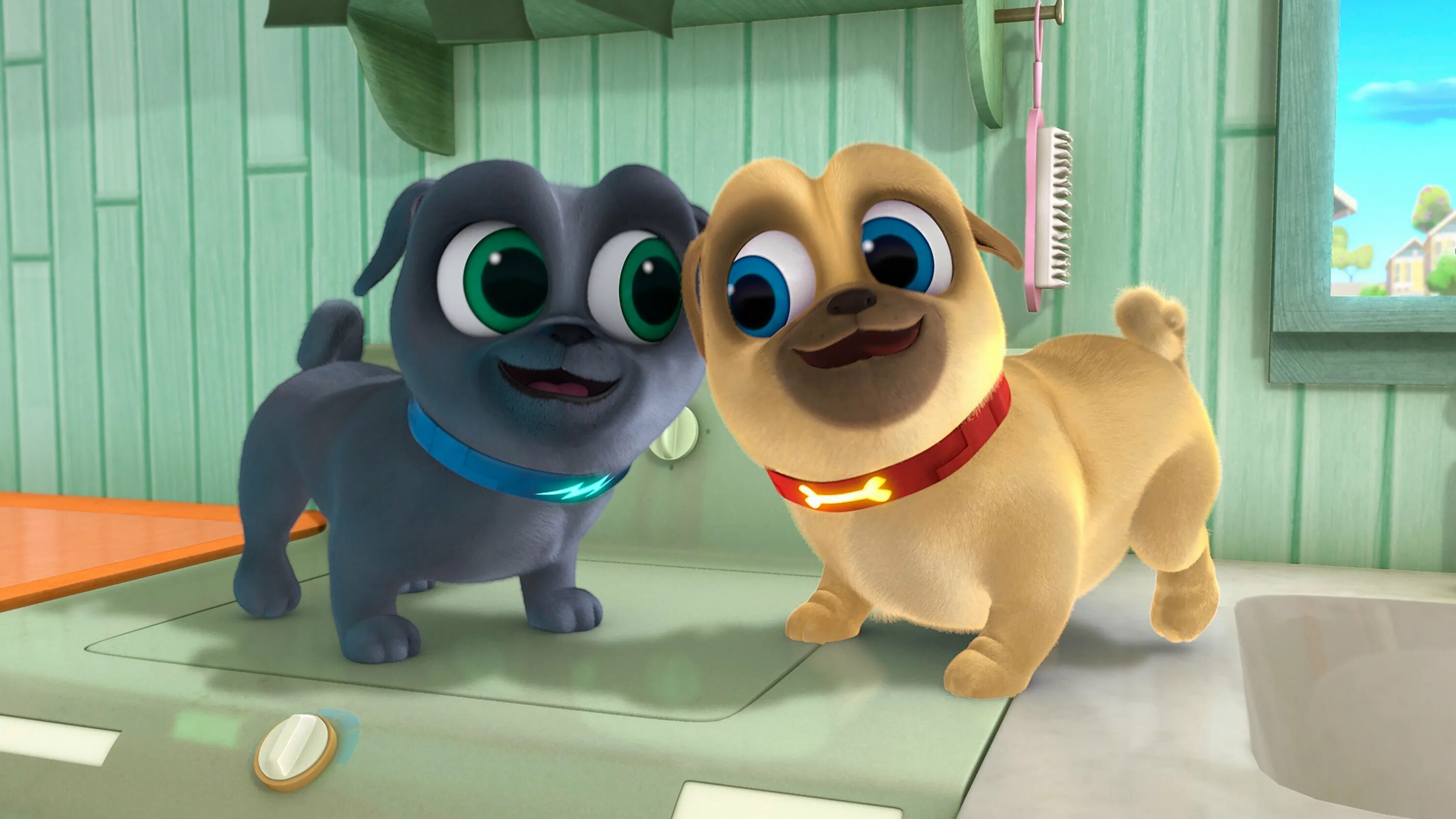 Бинго и Ролли дружные мопсы. Дружные мопсы (Puppy Dog Pals). Включи хорошую веселую