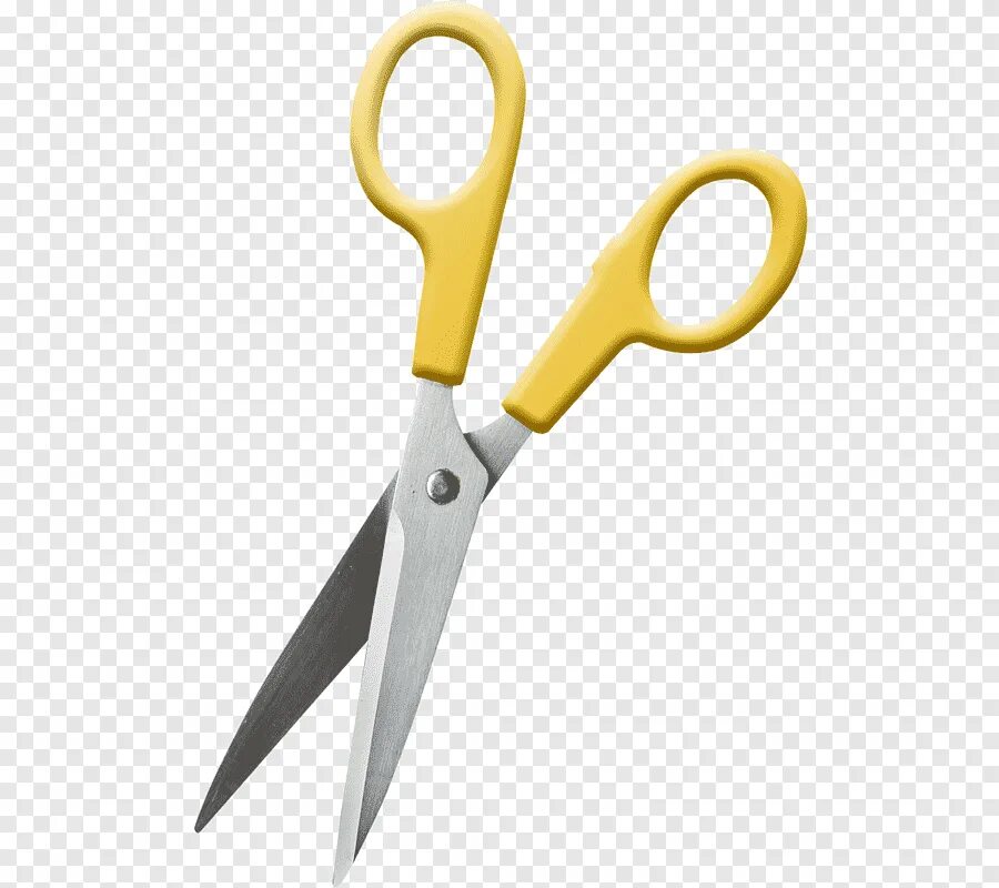 A pair of scissors