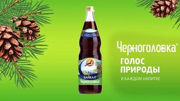 Реклама напитки из черноголовки. Черноголовка лимонад реклама. реклама байкала черноголовка. черноголовка напитки реклама. лимонад байкал черноголовка.