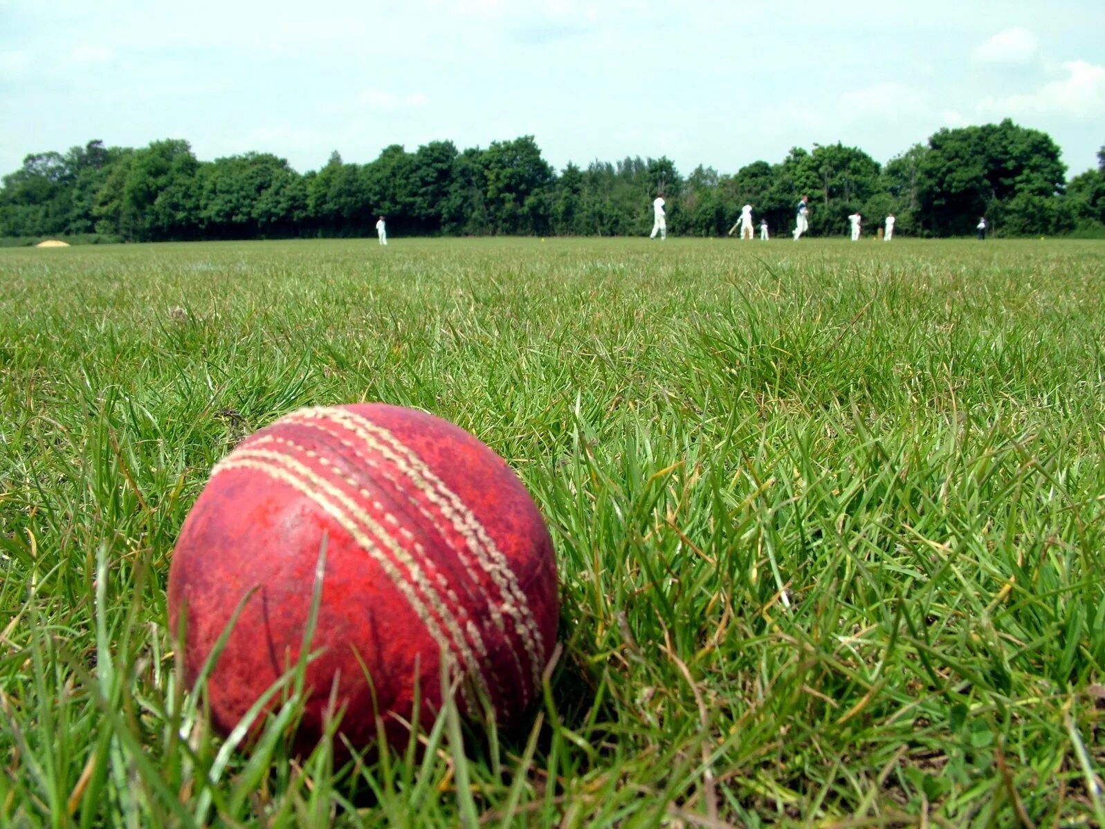 Игра мяч на траве. Cricket Ball игра. Мячик для крикета. Поле для крикета. Мяч для игры в крикет.