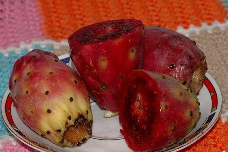 конский каштан и съедобный каштан. съедобные плоды. нисперо фрукт. плоды каштана съедобного. съедобный плод 5.